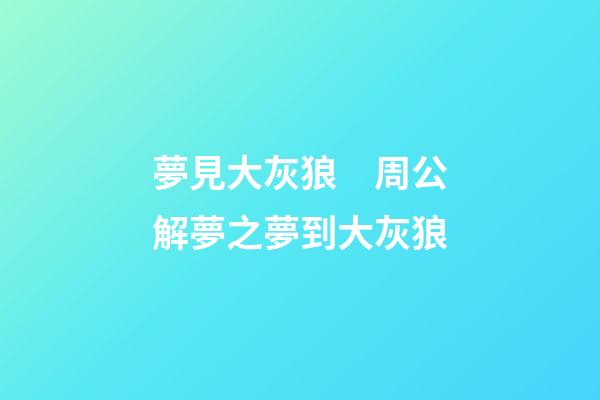 夢見大灰狼　周公解夢之夢到大灰狼